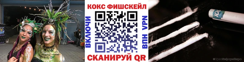 дарнет шоп  Нефтекумск  Кокаин 99% 
