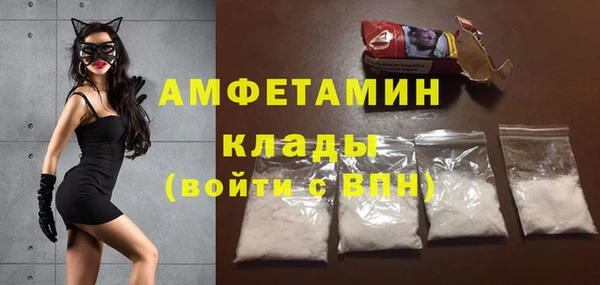 индика Алзамай
