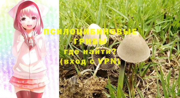 индика Алзамай