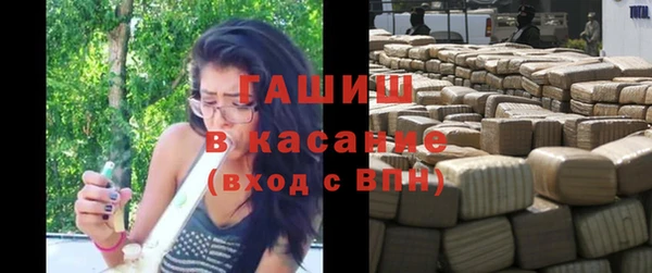 индика Алзамай