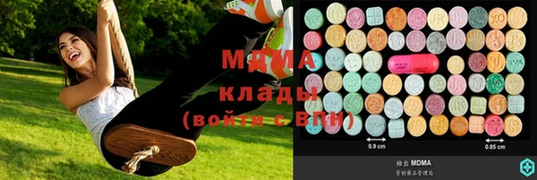 индика Алзамай