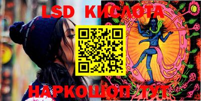 стафф Гатчина