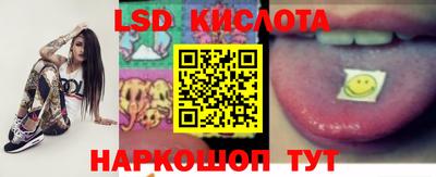 стафф Гатчина