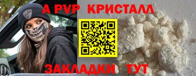 стафф Гатчина