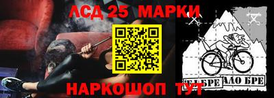 стафф Гатчина