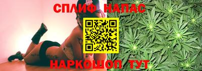 стафф Гатчина