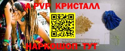 стафф Гатчина