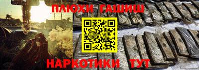 стафф Гатчина