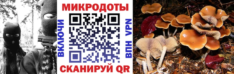 мега зеркало  Нефтекумск  Галлюциногенные грибы Psilocybe 