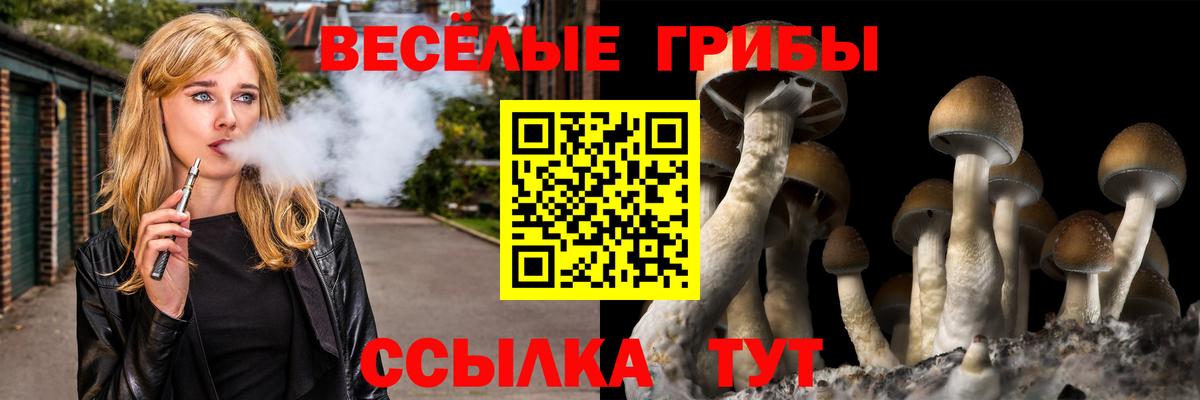 Псилоцибиновые грибы GOLDEN TEACHER  Вход с VPN  Нефтекумск  Псилоцибиновые грибы Cubensis 
